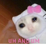 UM AND UH