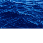 r e e f