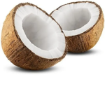 Gang of coconut