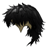 Kawaki Mullet