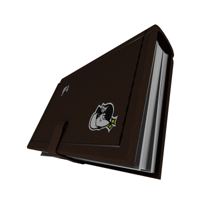 Normal Brown Book or Sketchbook thumbnail