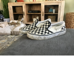 Ca. Vans Shoes