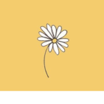 Aesthetically daisy