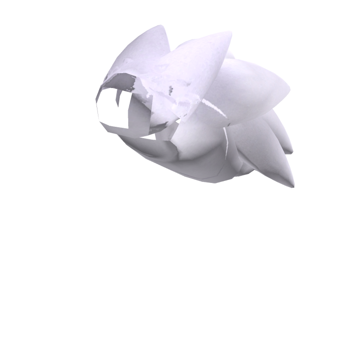 Expie Tail