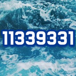 « OCEAN »