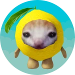 Lemon Cat Morph!