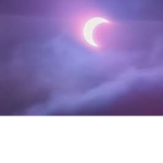 -__Moonlight__-