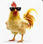 The goat chicken nuggets