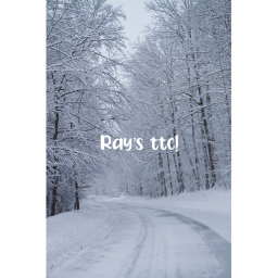 Ray's ttc!