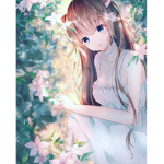 Anime and merch