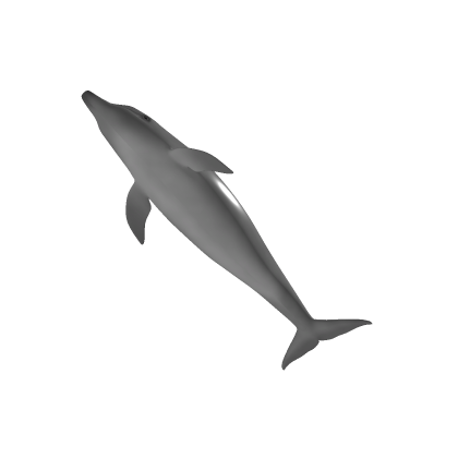 dolphin Lee