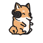 Official Doge Fan Club!