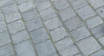 houseM