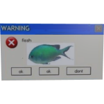 Code (F4SHV4RUS) Fish Virus