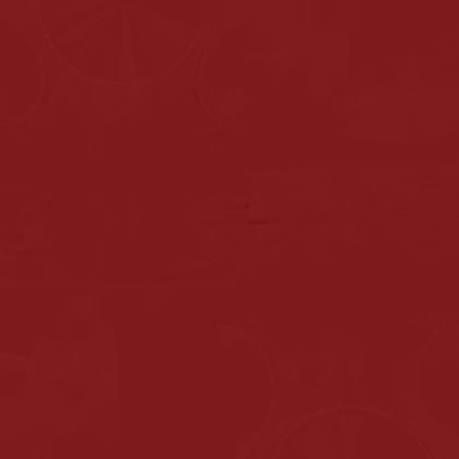 Leak asset thumbnail