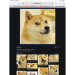DOGE COOL GANG