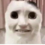 Hamsicikler