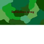 Defenders army