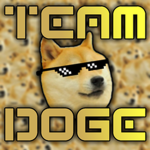 DOGE TEAM!!!