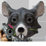 RATS are cute like you rat