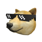 DOGE LLC