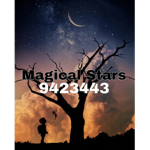 Magical Stars DH