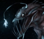 [REDACTED]s fan group