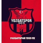 The Turkish Group ####
