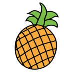 Pineapple Workshop