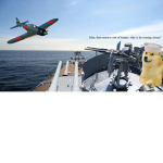 The United Doges navy