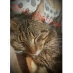 Facette_hm