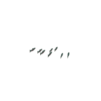 Animated Fish Swarm