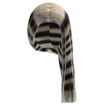 raccoon side swept bussdown