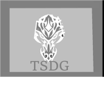 The Silver Dragon Guild [TSDG]