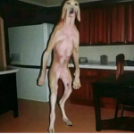 Matías XD