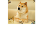 doge games!!!