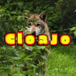 CloaJo