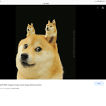 The doge Club. Doge