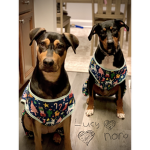 Animal Owner Group