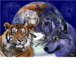 wolf fight dragons