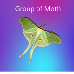 The Group of Moth