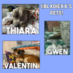 My pet's fan group! Group Thumbnail