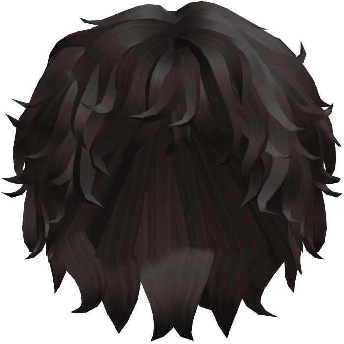 🐻Dark Brown Messy Curly Anime Emo Vkei Hair🐻