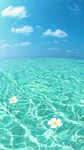 Seashellsands