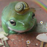 #FROGGY FAM