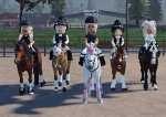 STRIDEWAY SHOWJUMPING TEAM!