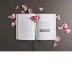 RoSe diary's