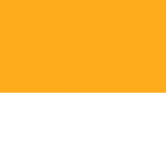 orange cat rules!!
