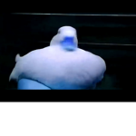 Friendswithaduck