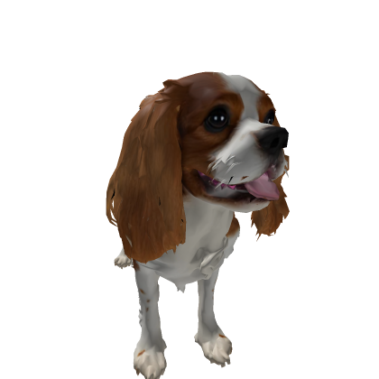 King Charles Spaniel